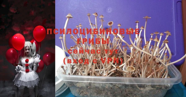 mdma Бородино