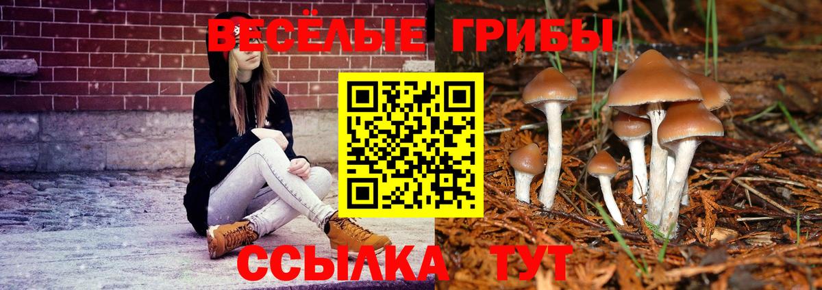 Псилоцибиновые грибы ЛСД  Псилоцибиновые грибы Psilocybe  Верхний Уфалей  Вход с VPN 