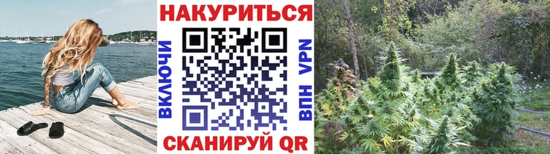 как найти закладки  Верхний Уфалей  Бошки Шишки THC 21% 